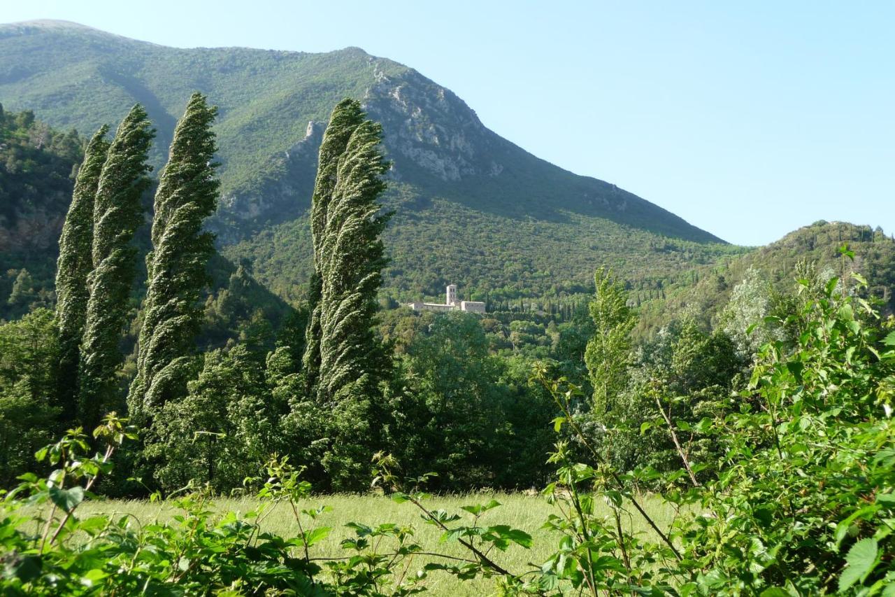 Appartamento La Raccolta Scheggino Esterno foto