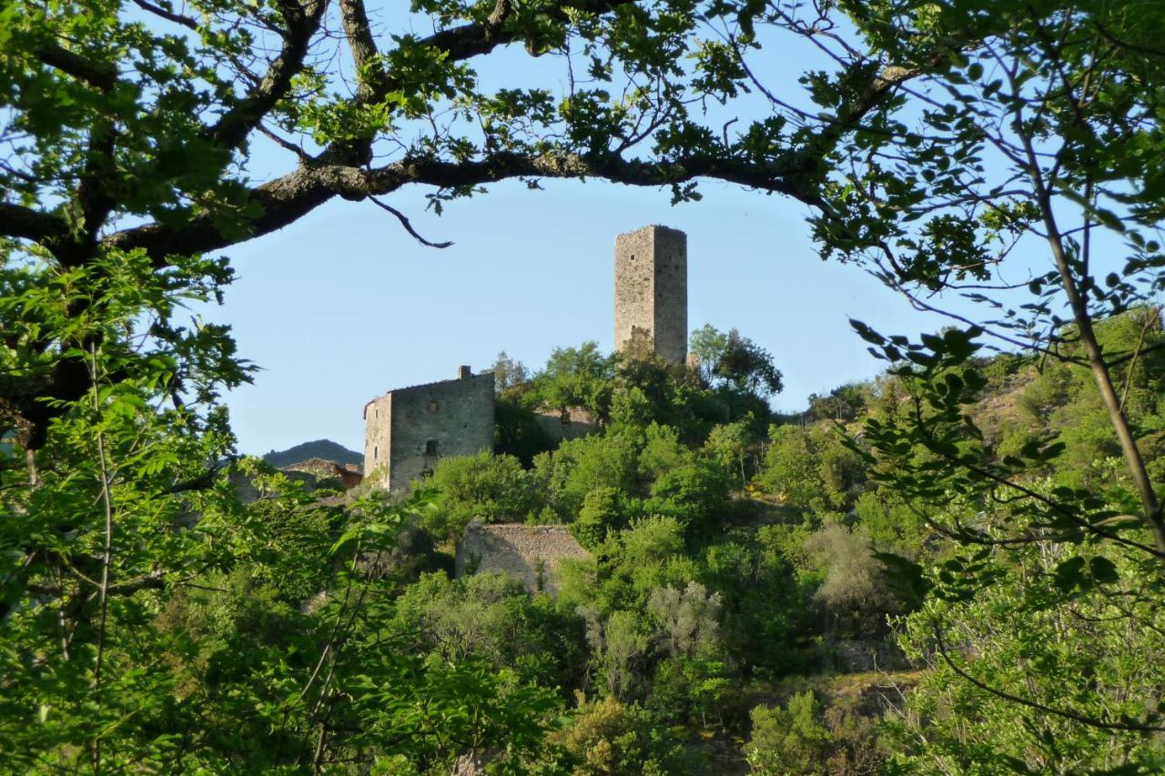 Appartamento La Raccolta Scheggino Esterno foto
