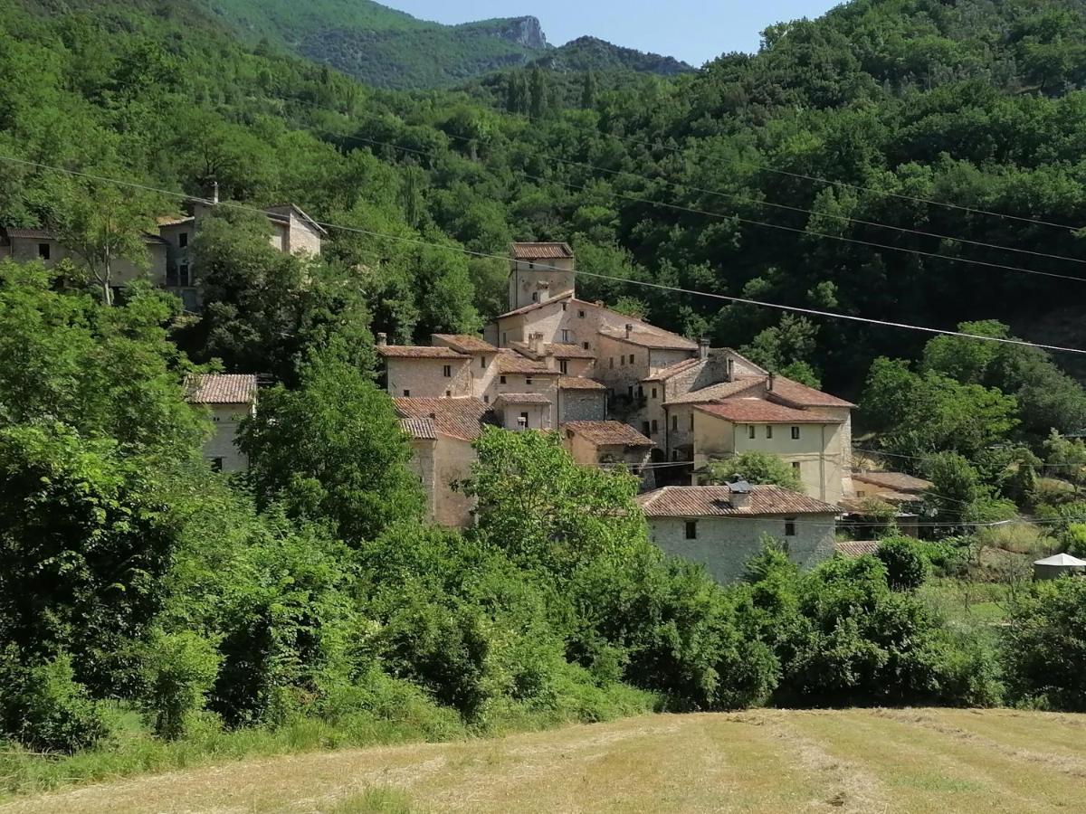 Appartamento La Raccolta Scheggino Esterno foto